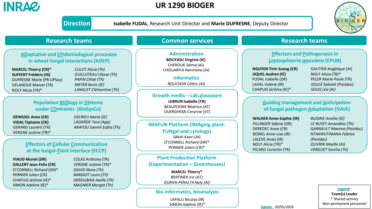 Organigramme BIOGER - EN