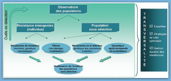 Axes-de-Recherches_reference.jpg