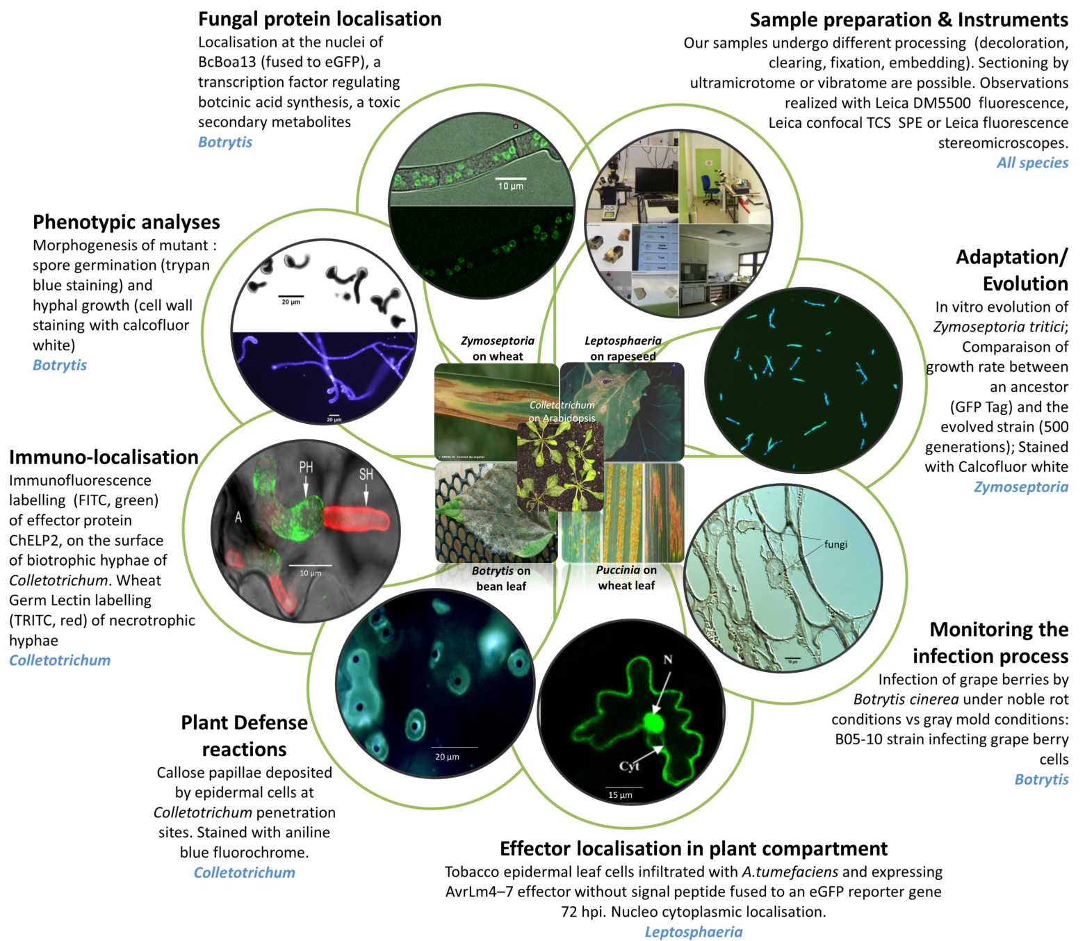 activite-plaeau-poster_rmuI