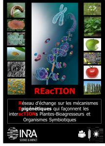reseau REacTION